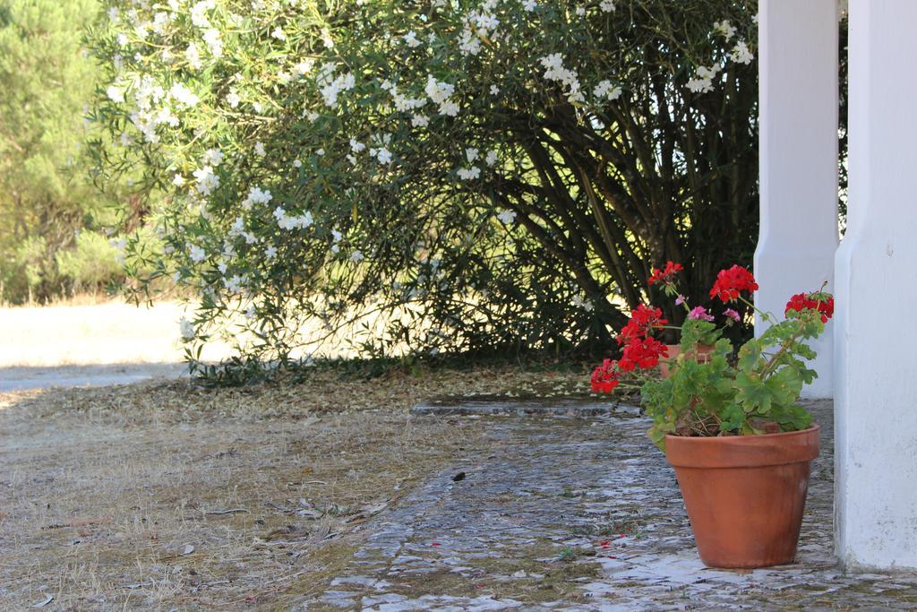 Quinta do Valle Tomar Exterior foto