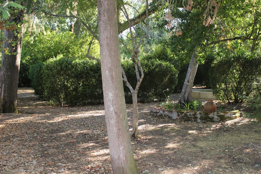Quinta do Valle Tomar Exterior foto
